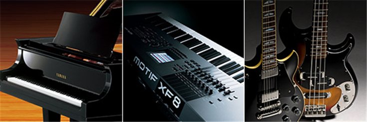 w88win优德乐器