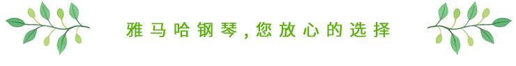 这才是真相：绿色关爱，w88win优德的环境政策