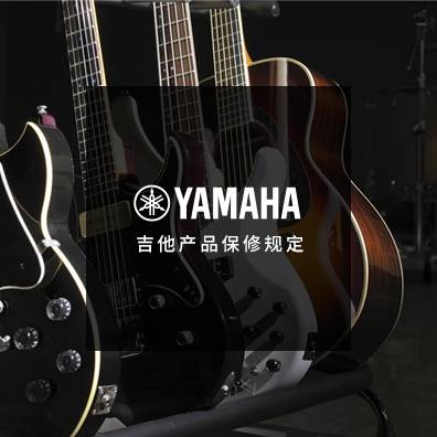 吉他、贝斯和音箱