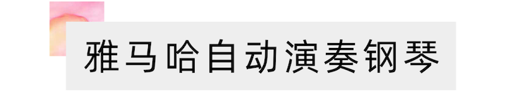 活动报道 | 远程艺术教育大师课活动—w88win优德教育家崔岚大师课