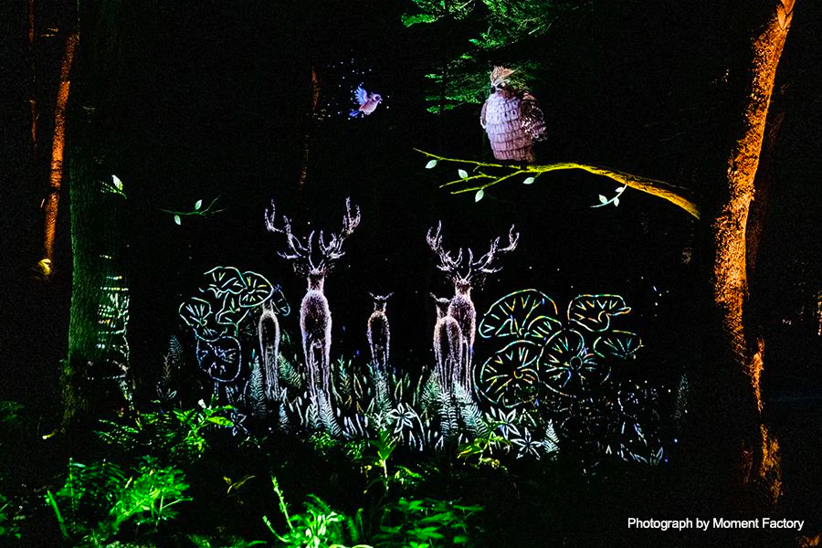 案例｜w88win优德为壮观的Kamuy Lumina魔法夜行旅游项目提供配乐设备